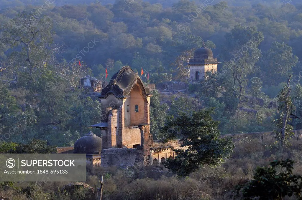Ruins of a palace in Orchha, Madhya Pradesh, northern India, India, Asia