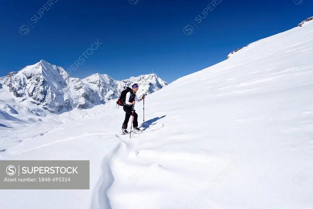 Cross-country skier ascending Hintere Schoentaufspitze Mountain, Solda in winter, looking towards Koenigsspitze, Ortler and Zebru mountains, Alto Adig...