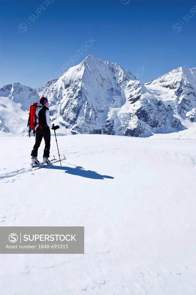 Cross-country skier ascending Hintere Schoentaufspitze Mountain, Solda in winter, looking towards Koenigsspitze Mountain, Alto Adige, Italy, Europe