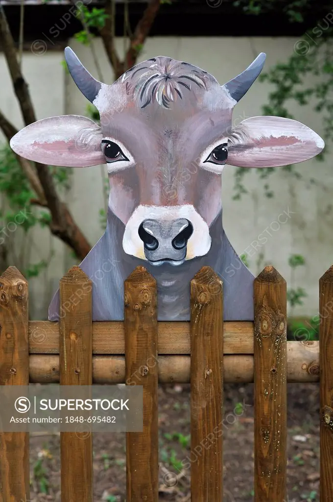Figure of a cow carved out of wood with a jigsaw looking over a garden fence, Simonshofen, Middle Franconia, Bavaria, Germany, Europe