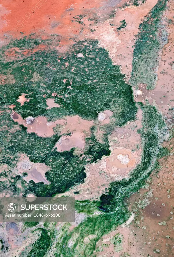 Detail of structures formed by algae, coloured minerals and water in the geothermal area and valley of Hveragerði, Hveragerðisbær, Iceland, Europe