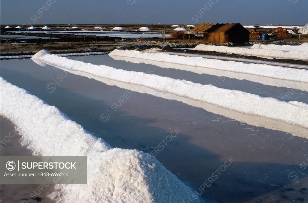 Salt production, Malya, Gujarat, India, Asia