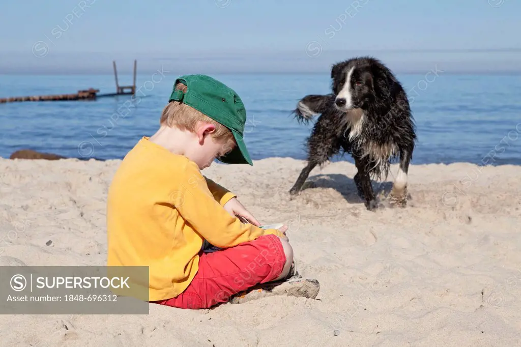 Young boy reading on a beach with a dog watching him, Kuehlungsborn-West, Mecklenburg-Western Pomerania, Germany, Europe