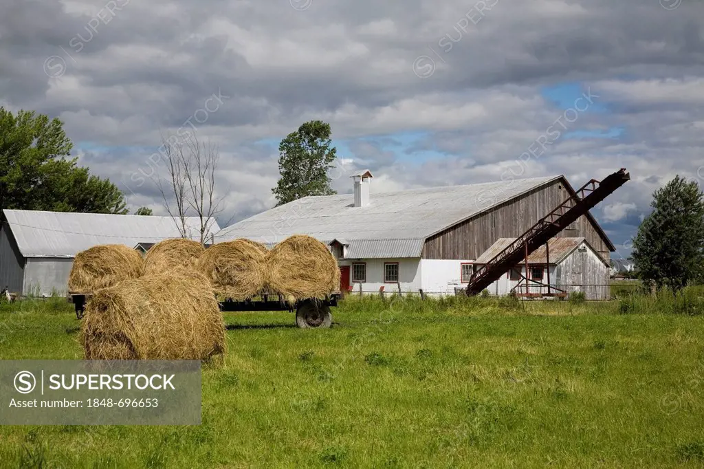 Dairy farm and hay wagon in field, Lachenaie, Lanaudiere, Quebec, Canada