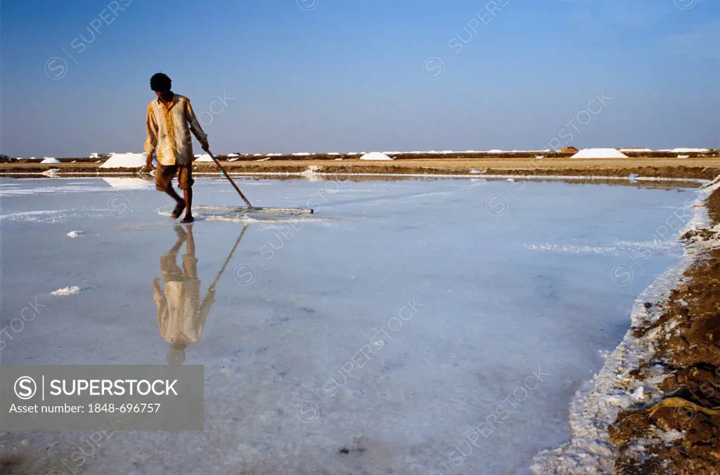 Worker in the saltpans, Malya, Gujarat, India, Asia