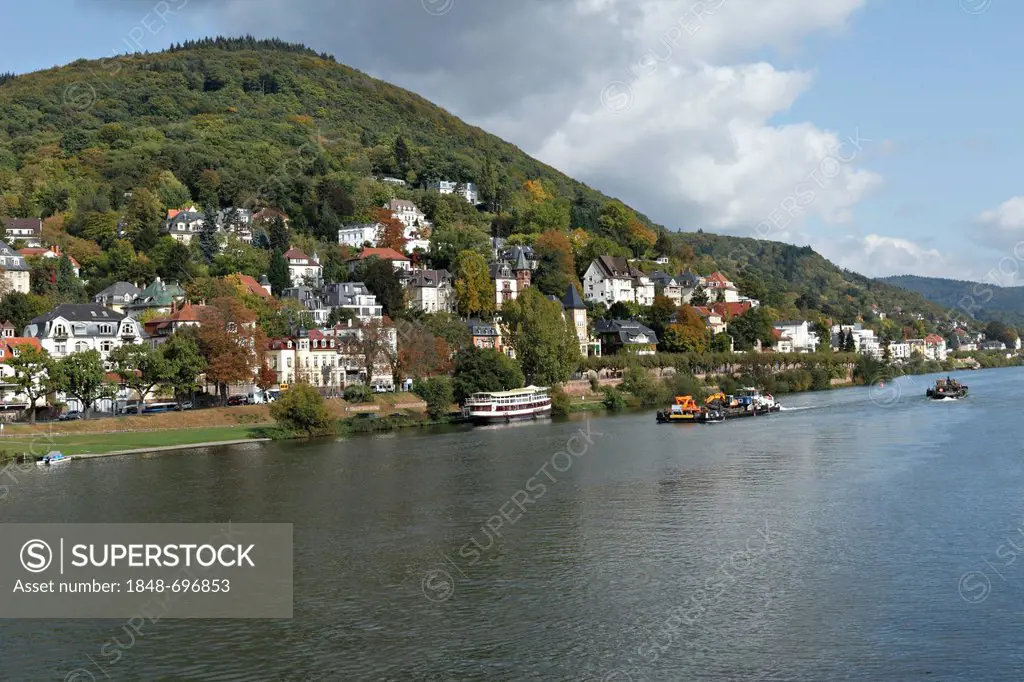 Villas on the Neckar River, Heidelberg, Baden-Wuerttemberg, Germany, Europe