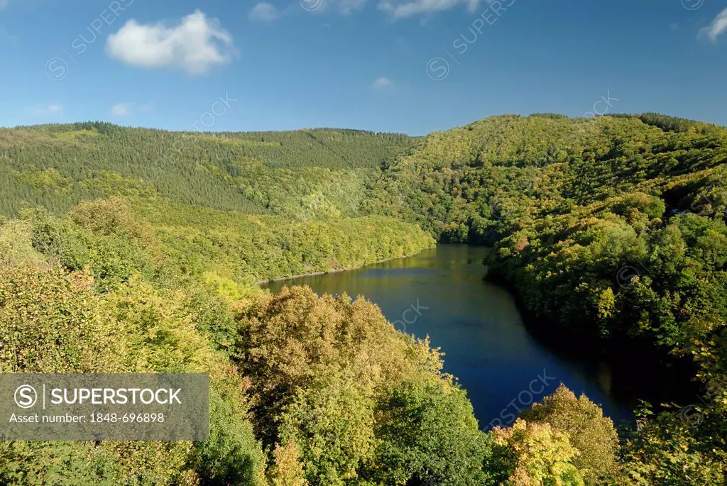 Urfttalsperre reservoir, Eifel National Park, district of Euskirchen, North Rhine-Westphalia, Germany, Europe