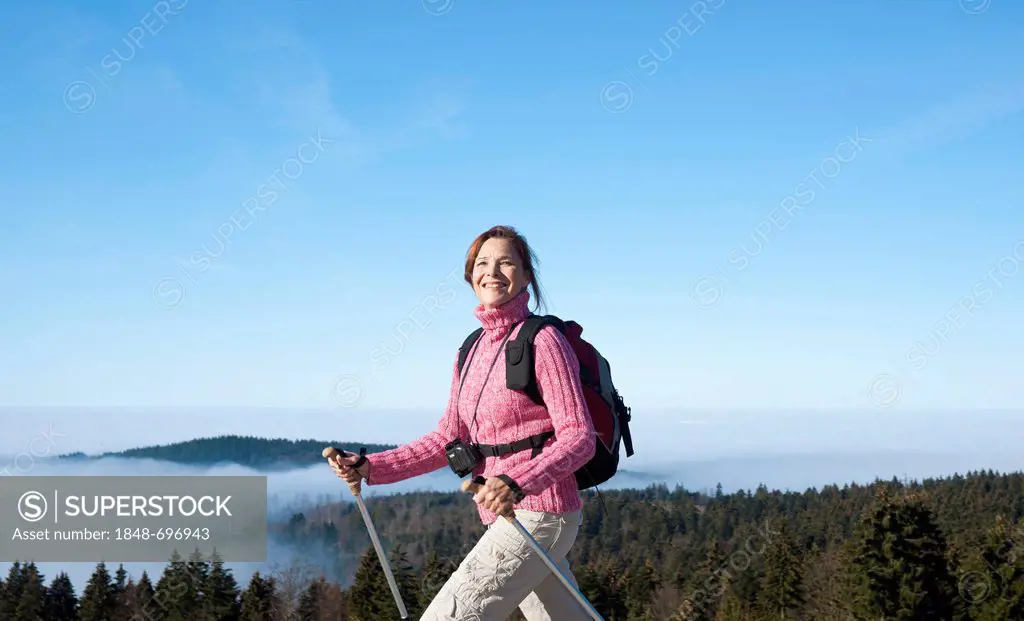Woman on a hiking trip in the Black Forest, Baden-Wuerttemberg, Germany, Europe