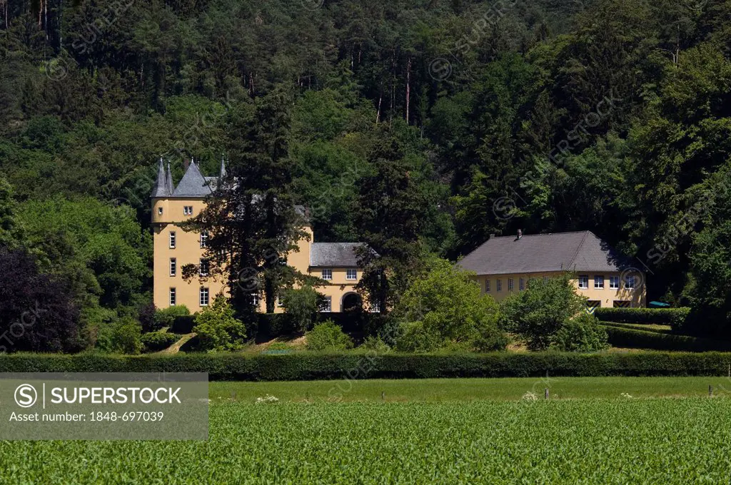 Schloss Strauweiler Castle, owned by the Sayn-Wittgenstein-Berleburg family, Valley of the Dhuenn, Odenthal, North Rhine-Westphalia, Germany, Europe, ...