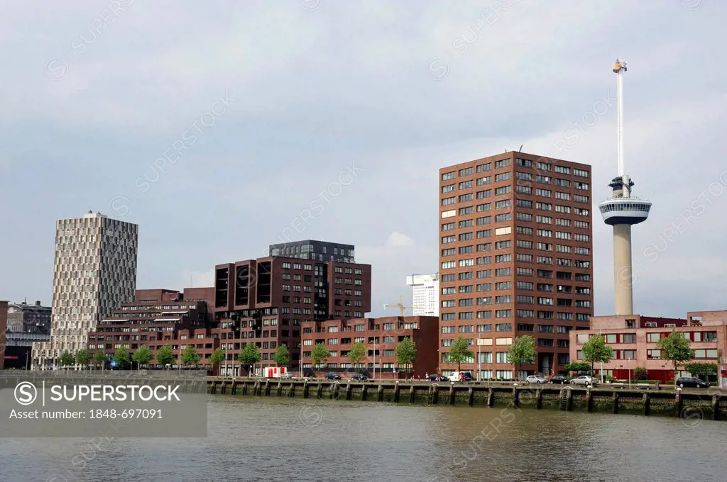 Euromast Tower, Mullerpier and St. Jobshaven Harbour, modern architecture along the Nieuwe Maas River, Rotterdam, Holland, Nederland, Netherlands, Eur...