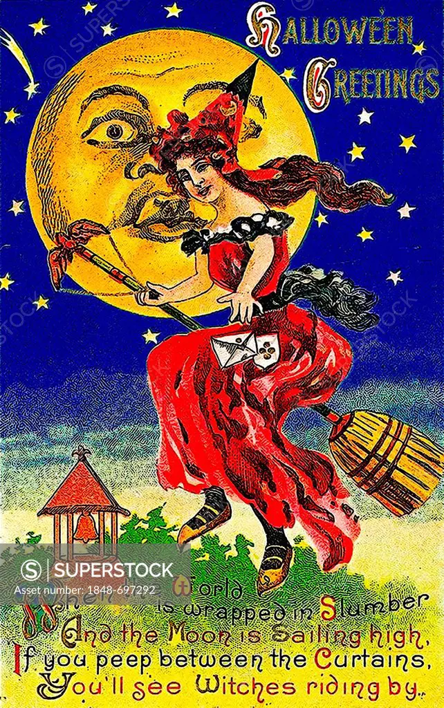 Beautiful witch flying on a broom, Halloween Greetings, illustration