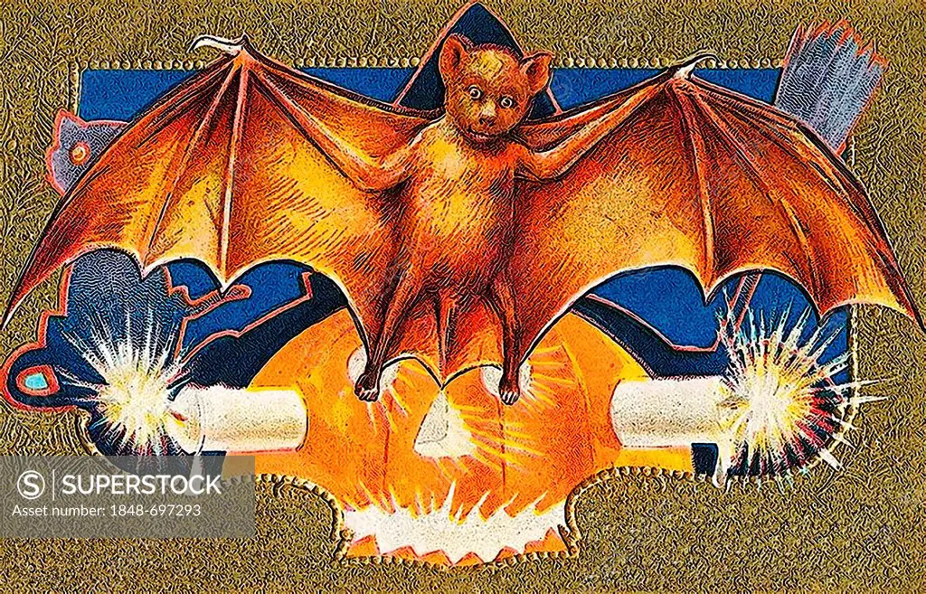 Bat, carved pumpkin or Jack-o-lantern, Halloween, illustration