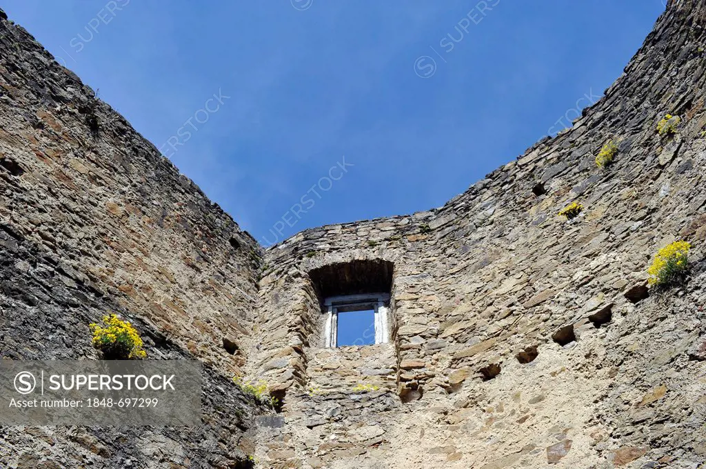 Burgruine Aggstein casatle ruins, UNESCO World Heritage Site Wachau Cultural Landscape, Lower Austria, Austria, Europe