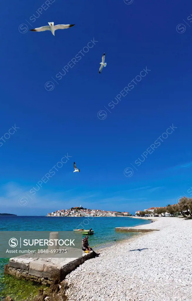 Beach with Primosten peninsula at back, central Dalmatia, Dalmatia, Adriatic coast, Croatia, Europe, PublicGround