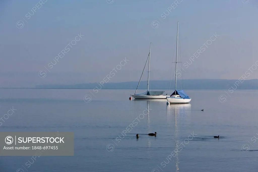 Two sailing boats in light morning fog, Diessen am Ammersee, Lake Ammer, Bavaria, Germany, Europe