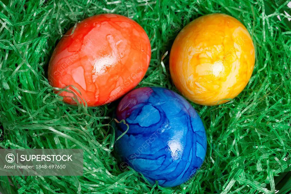 Coloured Easter eggs in a nest