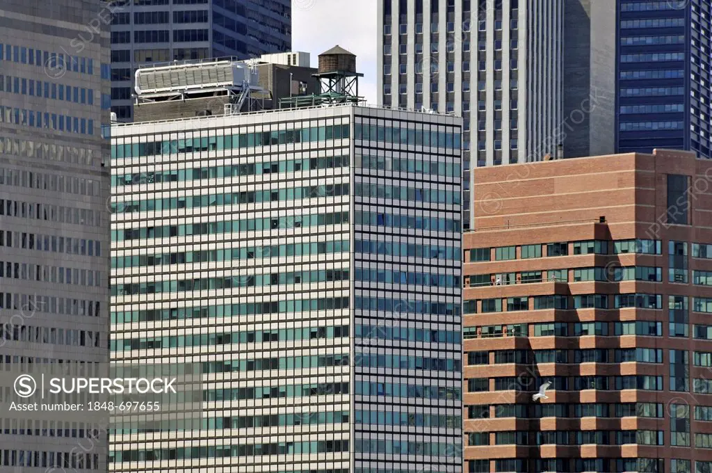 High-rise buildings, Financial District, Manhattan, New York City, USA, America, PublicGround