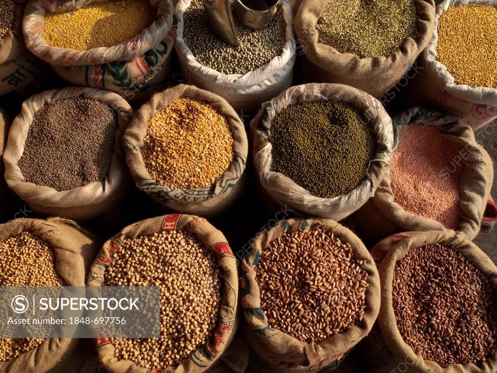 Various sorts of Dal, for sale at the spice wholesale market in Old Delhi, India, Asia