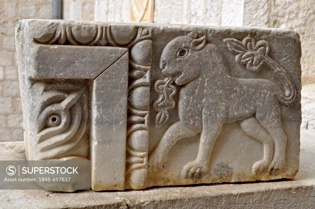 Slab of rock with an Etruscan relief, animal motif, museum of the Benedictine abbey of Montecassino, Monte Cassino, Cassino, Lazio, Italy, Europe