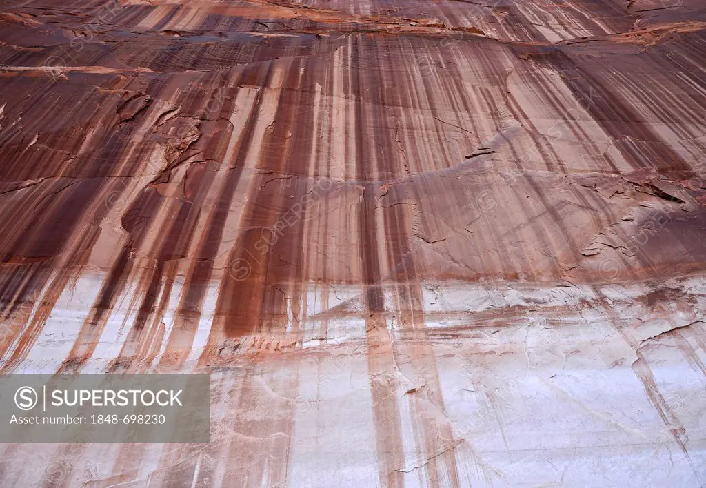 Navajo Patina, Tapestry, Goblins, so-called bathwater line of the Navajo Canyon, from Lake Powell, showing peak water levels, Page, Navajo Nation Rese...