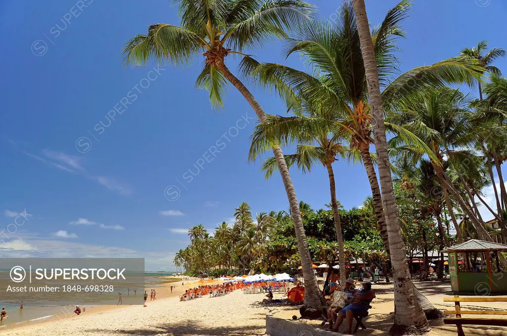 Beach in Salvador de Bahia, Bahia, Brazil, South America