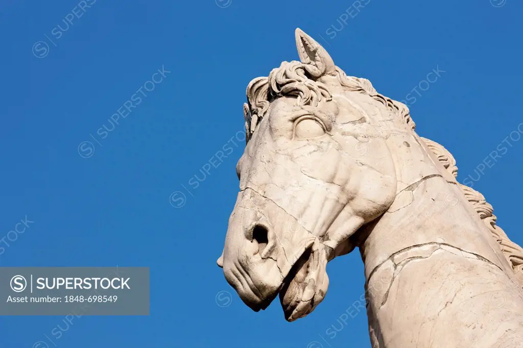 Horse head of the ancient statues of the Dioscuri Castor and Pollux, Capitoline Hill, Piazza Campidoglio, Rome, Italy, Europe
