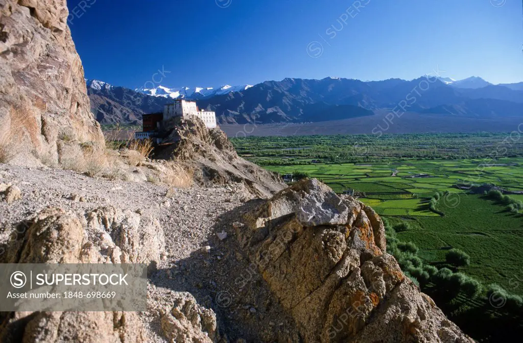 Thiksey Gompa monastery, overlooking the lush green Indus Valley, Thiksey, Jammu and Kashmir, India, Asia