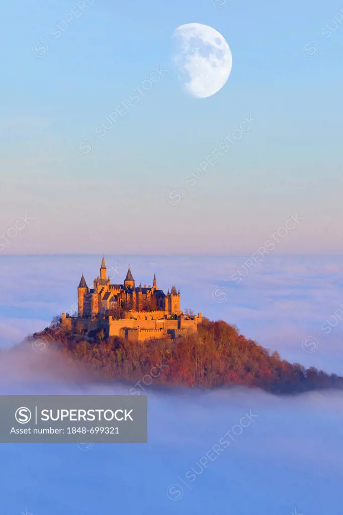 Burg Hohenzollern castle, with moon in morning light, autumn forest, morning mist, Schwaebische Alb, Swabian Alb, Baden-Wuerttemberg, Germany, Europe
