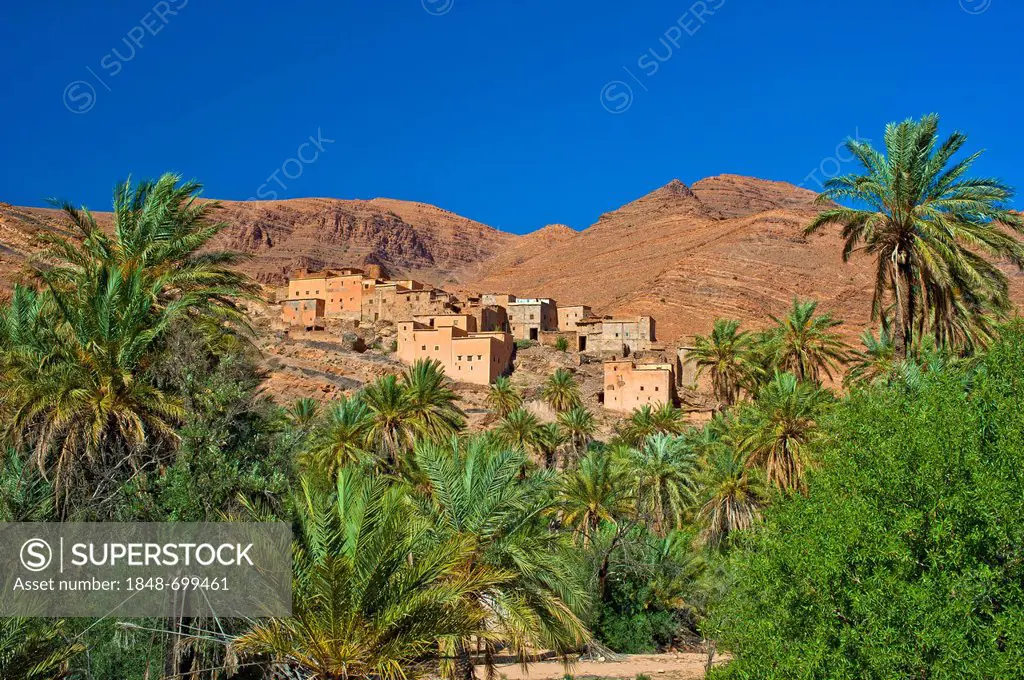 Small clay village and Date Palms (Phoenix sp.) in front of the red mountain landscape in the Ait Mansour valley, Anti-Atlas mountains, southern Moroc...
