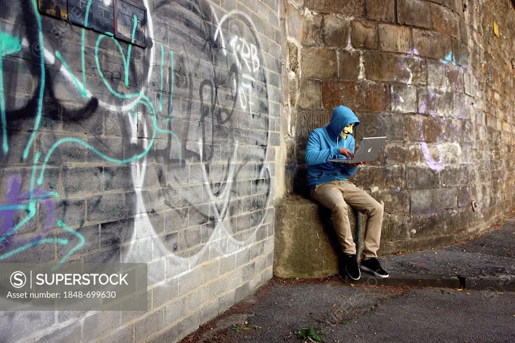 Man wearing a mask is surfing on a laptop computer in front of graffiti covered wall, symbolic image for computer hacking, computer crime, cybercrime,...