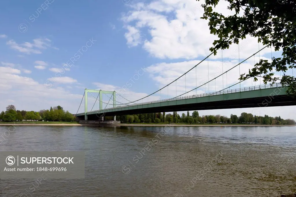 Rodenkirchen motorway bridge over the Rhine, Rodenkirchen quarter, Cologne, North Rhine-Westphalia, Germany, Europe