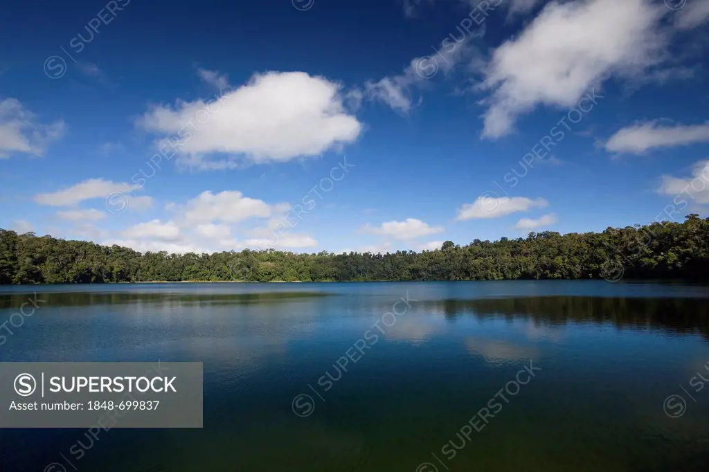 Lake Eacham, crater lake, Crater Lakes National Park, Atherton Tablelands, Queensland, Australia