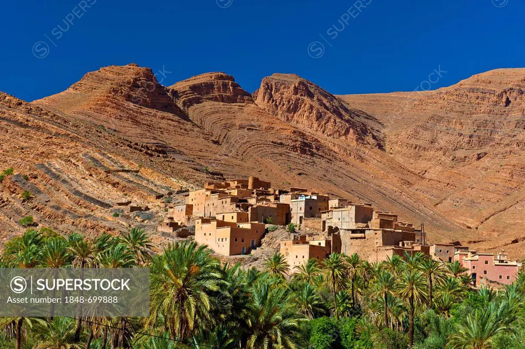 Small clay village and Date Palms (Phoenix sp.) in front of the red mountain landscape in the Ait Mansour valley, Anti-Atlas mountains, southern Moroc...