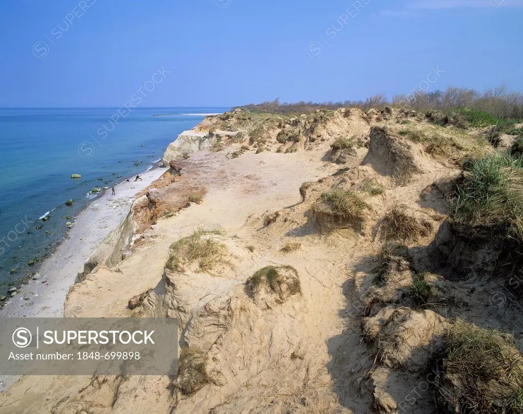 Dune on the edge of a cliff, bluff near Ahrenshoop, Fischland, Mecklenburg-Western Pomerania, Baltic Sea, Germany, Europe