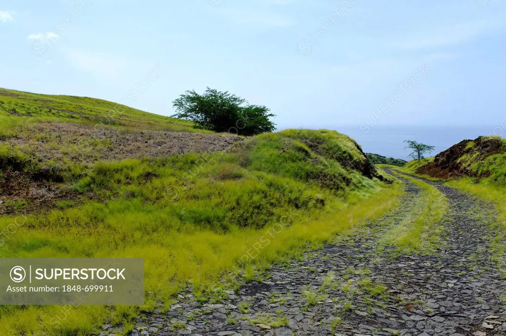 Landscape on the south coast, Fogo, Cape Verde, Africa