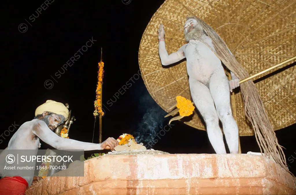 Shivraj Giri, Shiva sadhu, performing chabi yoga, a very unusal form of yoga, Varanasi, Uttar Pradesh, India, Asia