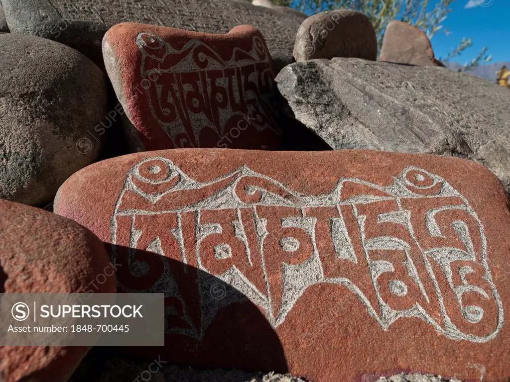 Mani stones with the carved Om Mani Padme Hum, the mantra of Avalokiteshvara, the Buddha of Compassion, Thiksey, Jammu and Kashmir, India, Asia