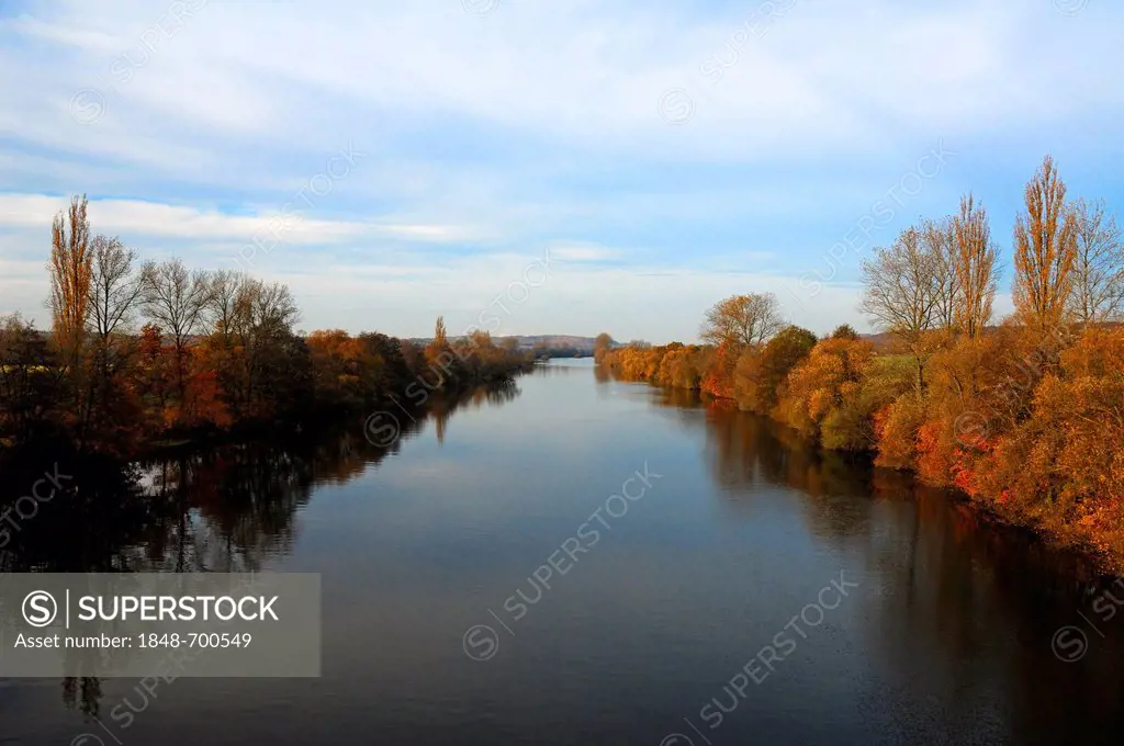 Autumn landscape on the Main River, Theres, Lower Franconia, Bavaria, Germany, Europe