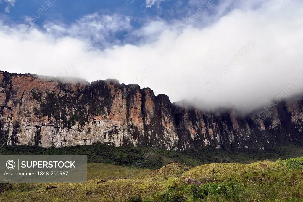 Steep face of the Roraima table mountain surrounded by clouds, highest mountain of Brazil, tri-border region Brazil, Venezuela, Guyana on the high pla...