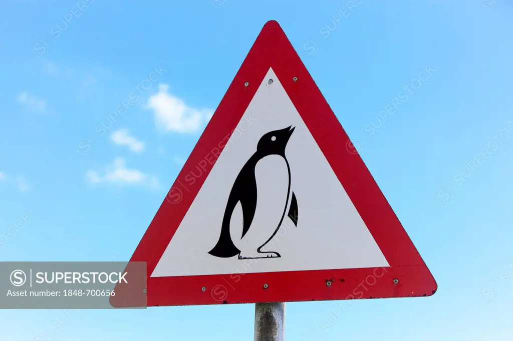 Traffic warning sign with a penguin, Simon's Town, Boulder, South Africa, Africa