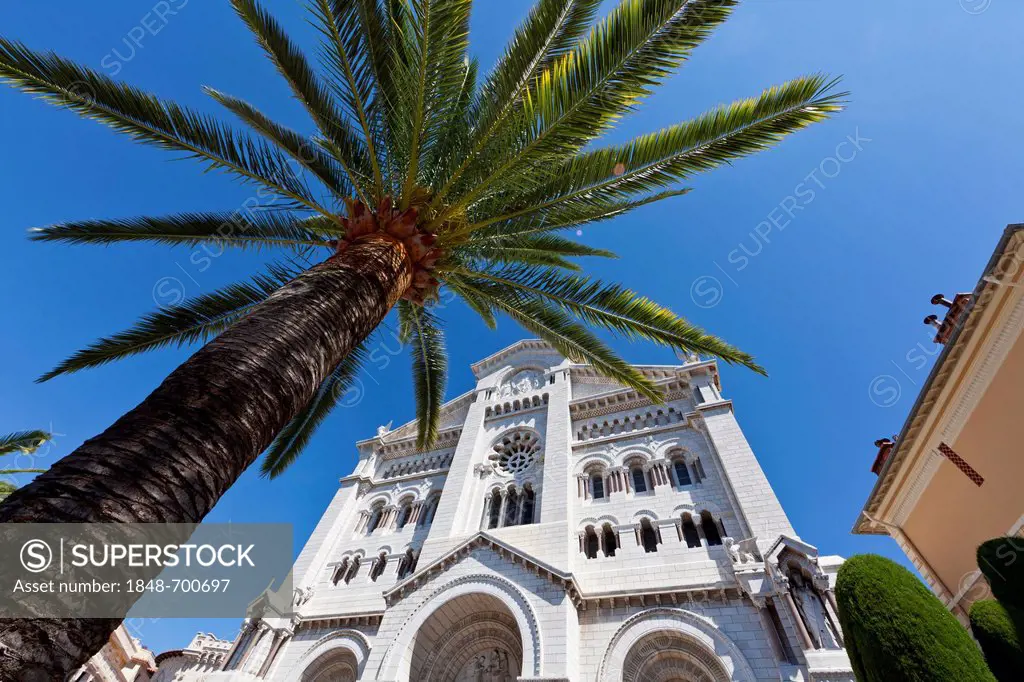 Saint Nicholas Cathedral, Notre-Dame-Immaculée Cathedral, neo-Romanesque, a palm tree next to it, Monte Carlo, principality of Monaco, Cote d'Azur, Me...