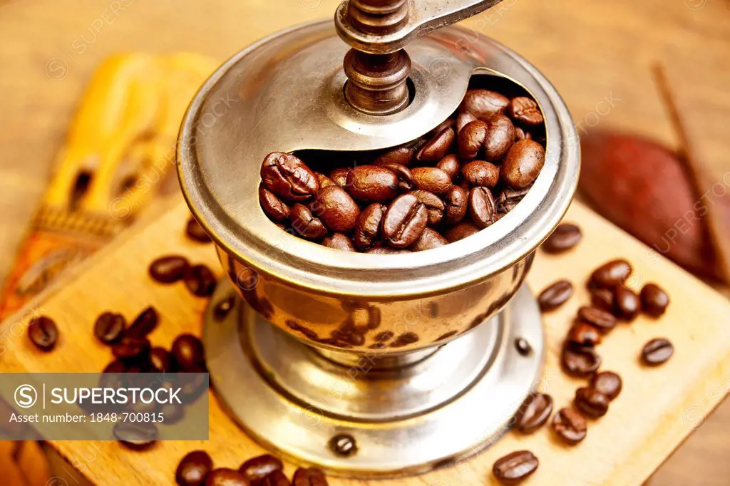 Freshly roasted coffee beans in an old coffee mill