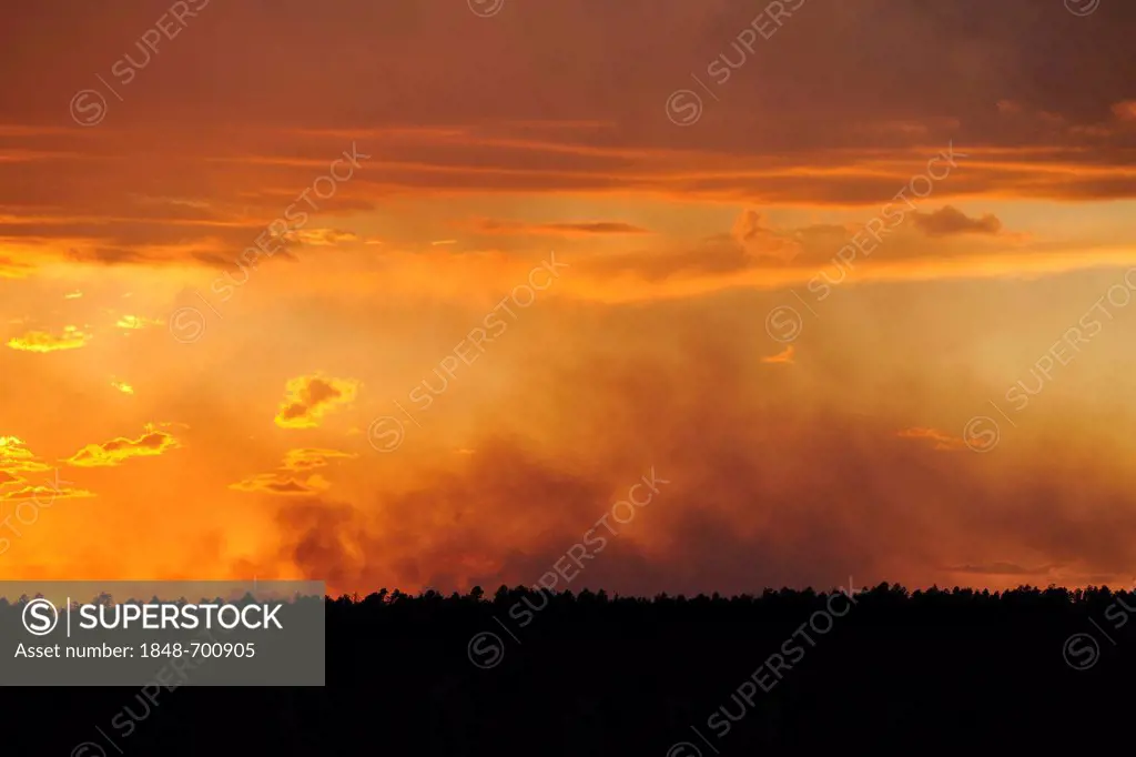 Bushfire in a national park, view from Bright Angel Point, evening mood, Grand Canyon National Park, North Rim, Arizona, United States of America, USA