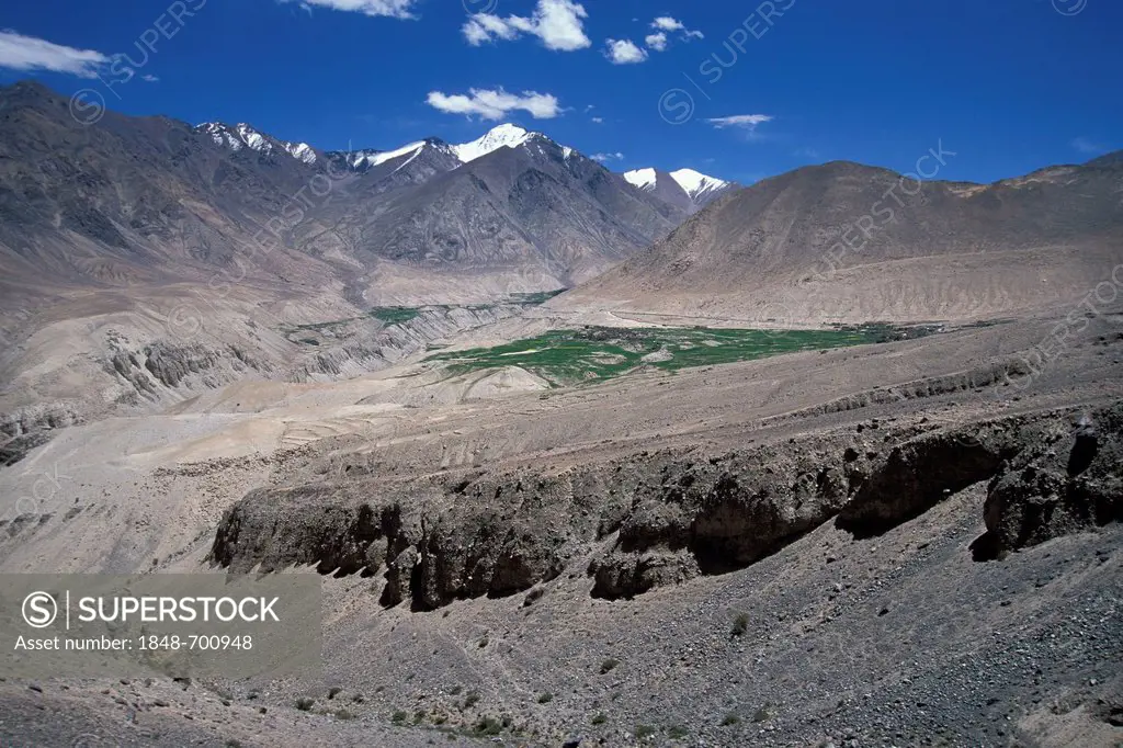 Nubra Valley, Ladakh, Indian Himalayas, Jammu and Kashmir, northern India, India, Asia