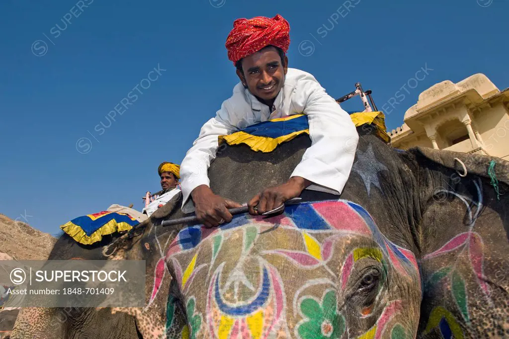 Mahout or elephant driver on a painted elephant, Amer Fort or Amber Fort, Jaipur, Rajasthan, India, Asia
