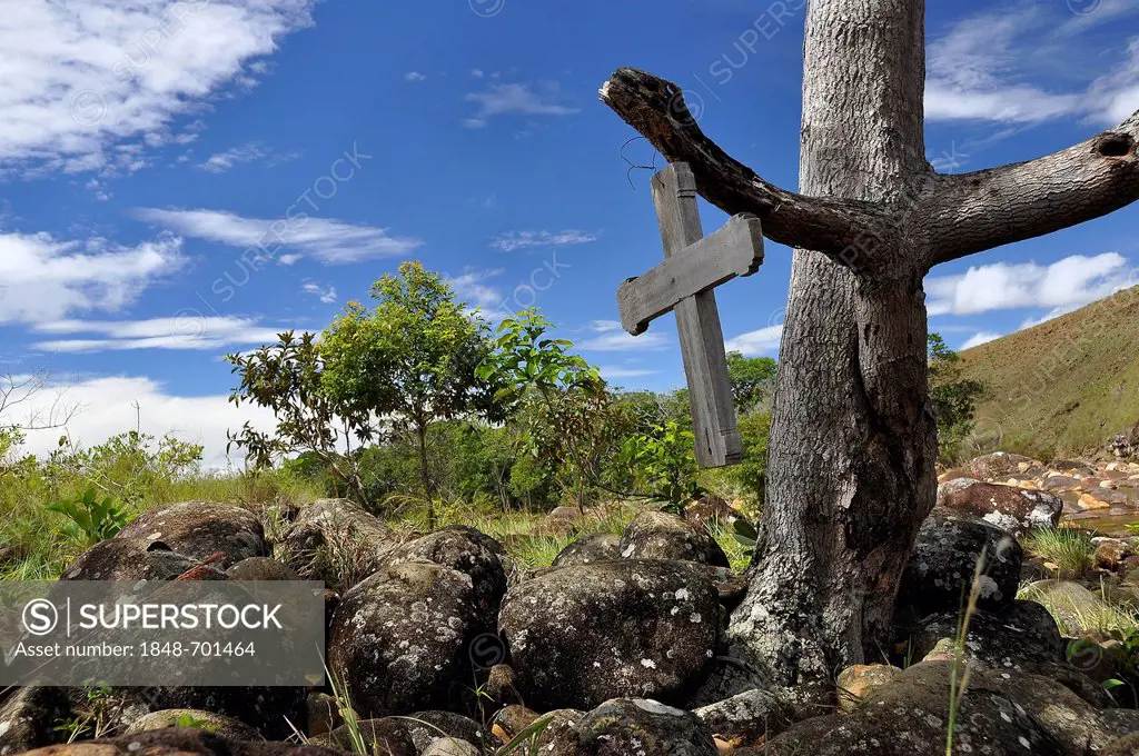 Wooden cross on a tree in the wilderness, trek to the Roraima table mountain, highest mountain of Brazil, tri-border region Brazil, Venezuela, Guyana ...
