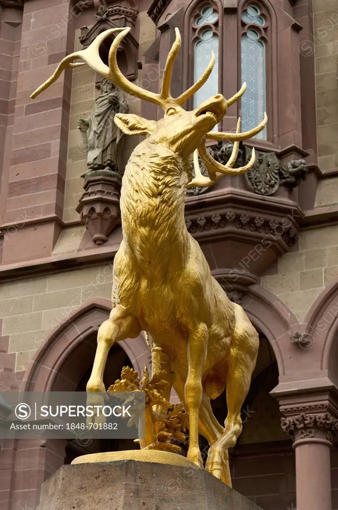 Golden stag sculpture at Drachenburg Castle, Drachenfels, Koenigswinter, North Rhine-Westphalia, Germany, Europe