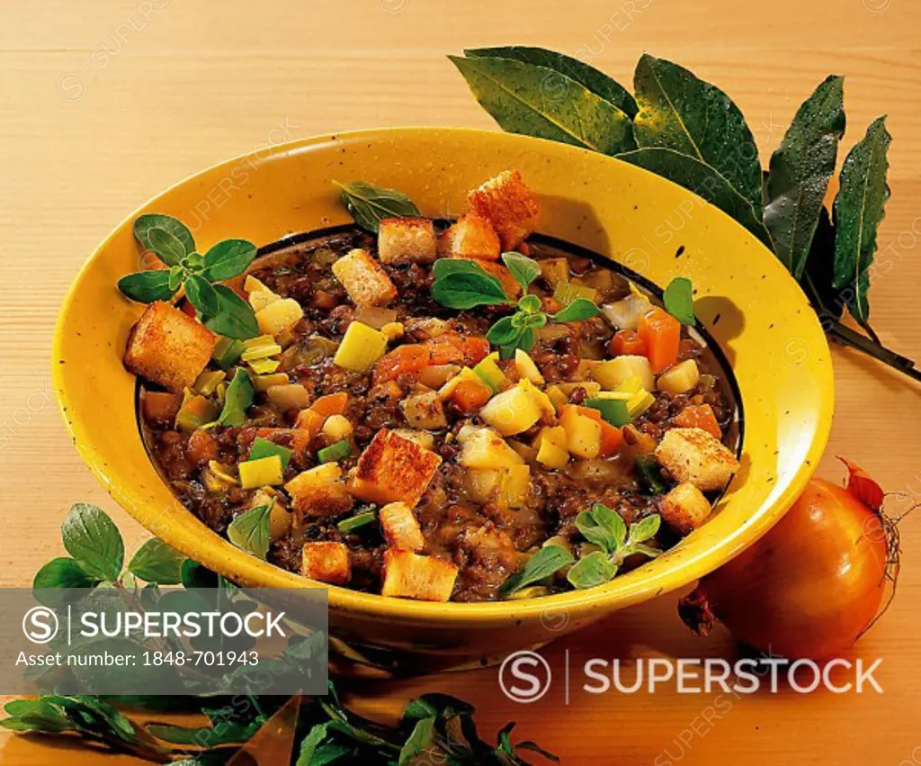 Mountain lentils with vegetables and croutons, vegetarian stew, Germany
