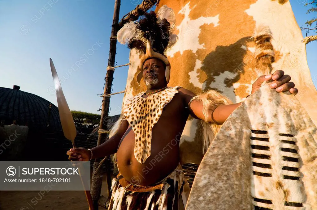 Zulu warrior, film set of Shakazulu, Shakaland, KwaZulu-Natal, South Africa, Africa