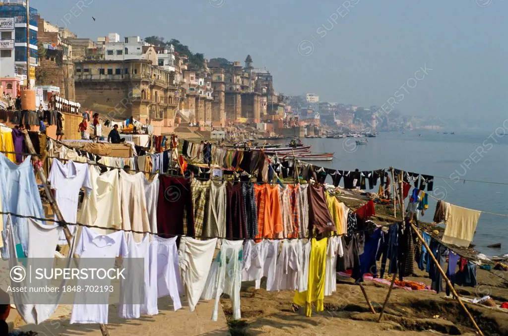 Laundry at the banks of river Ganges outside Varanasi, washed by the dhobi wallahs or laundry men, Uttar Pradesh, India, Asia